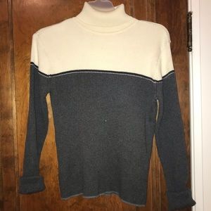 Gray and Cream turtleneck sweater (GAP)